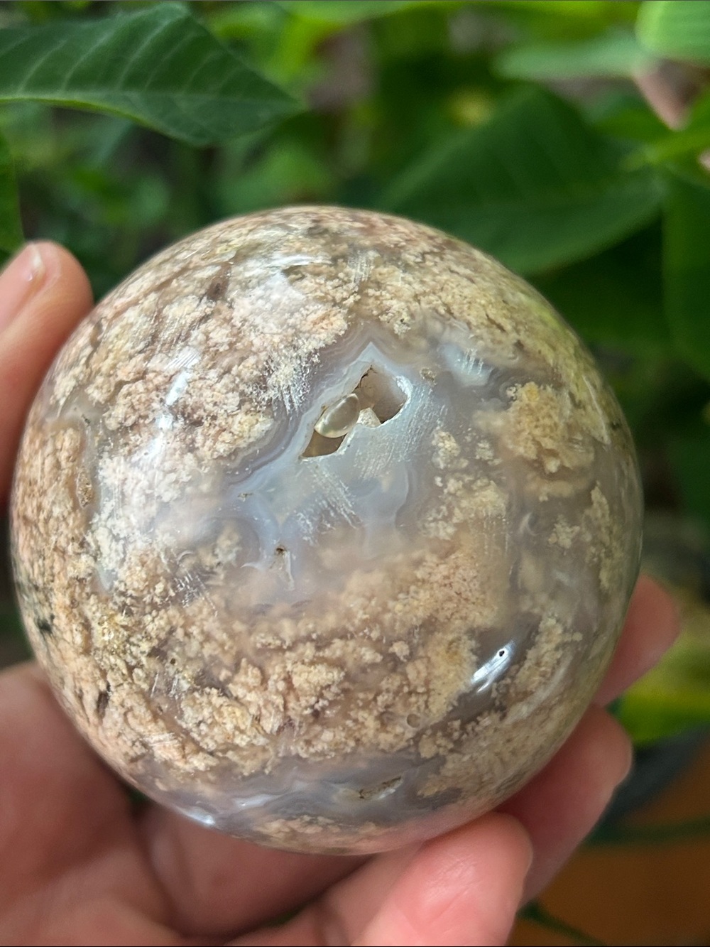 💎 Polished Pink Flower Agate with Druzy Crystal Sphere 63mm